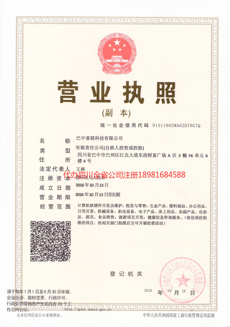 宜宾市宜宾市喜联科技有限公司